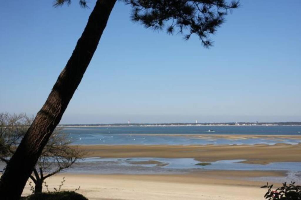Appart Sur La Plage Pied Dans L Eau Avec Terrasse Jardin Vue Sur Le Bassin Depuis La Terrasse , Parking อาร์กาชง ภายนอก รูปภาพ